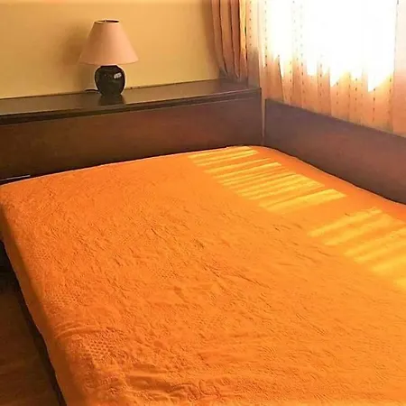 Amigo * Varna